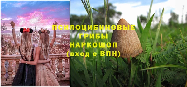 ГАЛЛЮЦИНОГЕННЫЕ ГРИБЫ Балахна