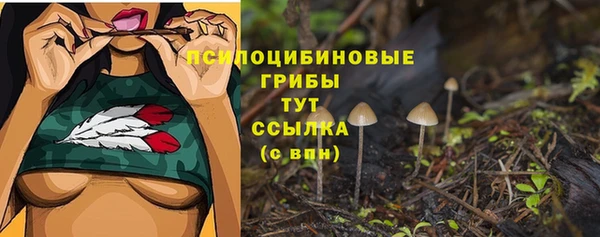 стафф Баксан