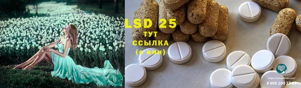ГАЛЛЮЦИНОГЕННЫЕ ГРИБЫ Балахна